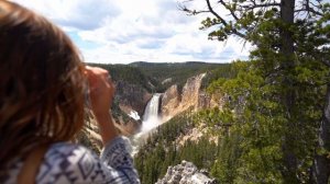 3785605-hd_1920_1080_25fps