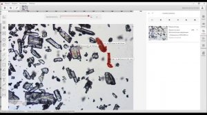 Базовая версия программного обеспечения AXALIT