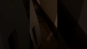Шумит кулер ps5