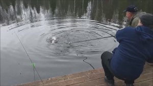 Когда ловишь на Cool Place STRETCH и донку, спиннинг остаётся в стороне. Рыбалка на Нижнем в Клёвом