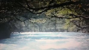 Авторская песня/Песня про черемуху/Любовь, как цвет черемухи