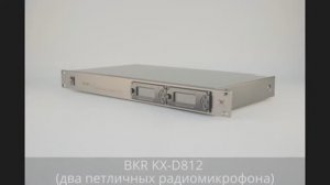 Распаковка. Конференц-оборудование: радиомикрофоны BKR KX-D812 (два петличных)