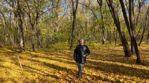 ОСЕНЬ...МУЗЫКА ЛЮБВИ  (СЕРГЕЙ ГРИЩУК)