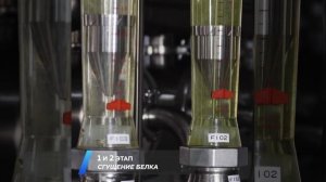 Производство протеина. 1 этап - фильтрация сыворотки