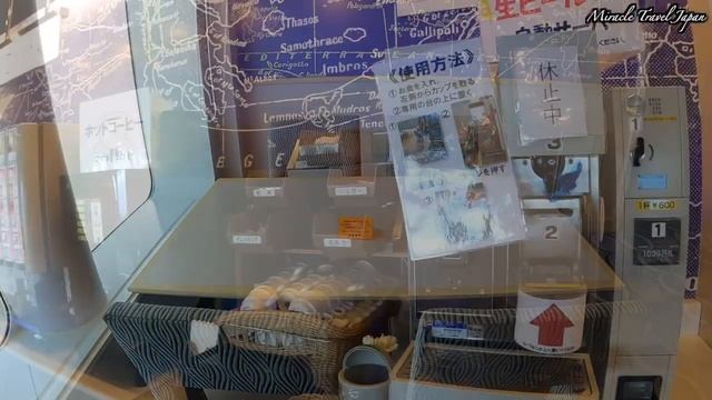 【ほぼ半額！】太平洋フェリーいしかり特等洋室で40時間　期間限定のゴーゴープラン смотреть онлайн