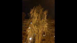 На пластиковых окнах нет узоров (на СТИХИ Любови Лоевой)