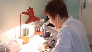 О нас. ЛПУП санаторий «Васильевский»