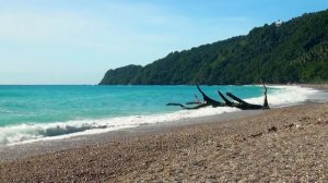 1778819-hd_1280_720_30fps