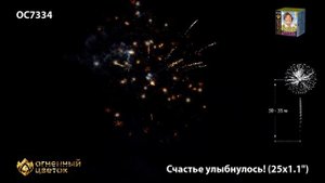 Счастье улыбнулось