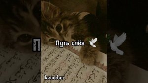 НАШИД ПУТЬ СЛЁЗ