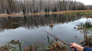 Осенняя рыбалка на маховую удочку на карпа . Первый лёд  - опасный лёд .