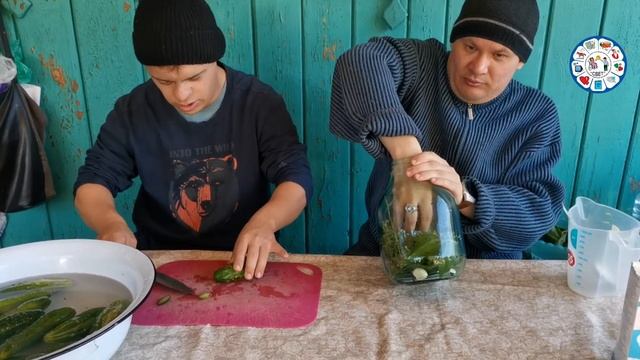 Засолка огурцов холодным способом Павелин Алексеев