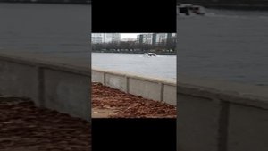 Водный Калининград #30