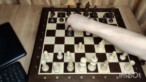 Урок 4 Размен с последующем выигрышем темпа. Шахматы для начинающих!!!
