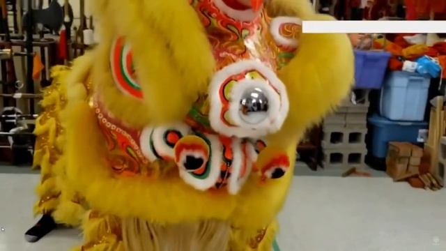 CBC: Chinese New Year & Kung Fu Regina