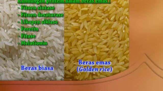 UNGGUL DENGAN BIOTEKNOLOGI смотреть онлайн