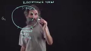 Цитология Лекция 7 Клеточный цикл Окштейн И Л