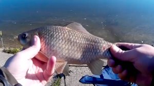 Простое тесто для рыбалки.