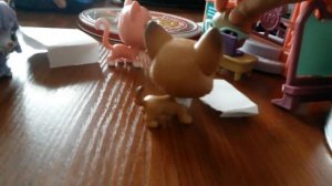 Лпс школа оценки за контрольную работу