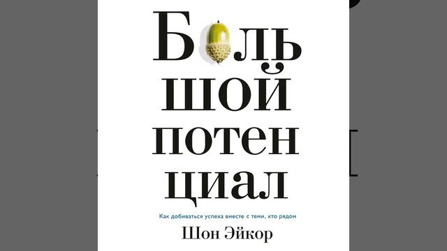 Шон Эйкор – Большой потенциал. Как добиваться успеха вместе с теми, кто рядом. [Аудиокнига]