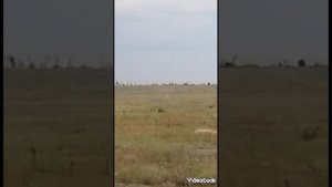 Аркадий Хугаев ( Голландец)