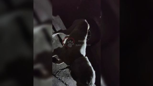 🔥📢🔥ГОРЯЧИЕ НОВОСТИ ПРИЮТА "ДОМ ДОБРА"  г. Вязьма🏡🔥📢🔥