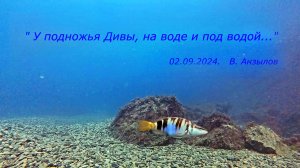 02.09.2024. Симеиз. У подножья Дивы. Над водой и под водой. 4К.