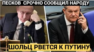 СРОЧНО! Шольц ТРЕБУЕТ поговорить с Путиным! Песков ЗАЯВЛЕНИЕ Трамп и Путин