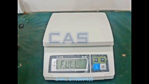 CAS SW Series Calibration