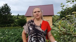 Отзыв № 27 о компании «ЗЕМЛЕ-СТРОЙ», г. Новокузнецк, п. Юрьевка, ул. Подгорная, 23