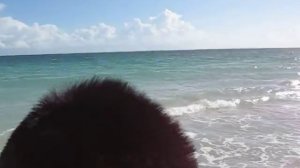 Varadero Beach, Cuba  Paradisus Princesa Del Mar Resort