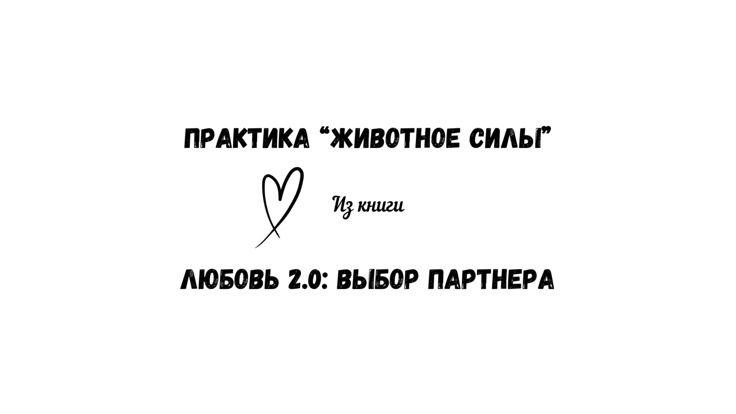 11/50 Практика "Животное силы". Контакт с ресурсами. Из книги "Любовь 2.0: выбор партнера" смотреть онлайн