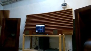 Фронтальный рупор на ШП 10" Telefunken Ela L8/1262 Red Nippel