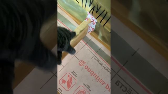 строительство