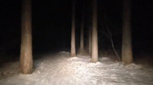 Нива в лесу.