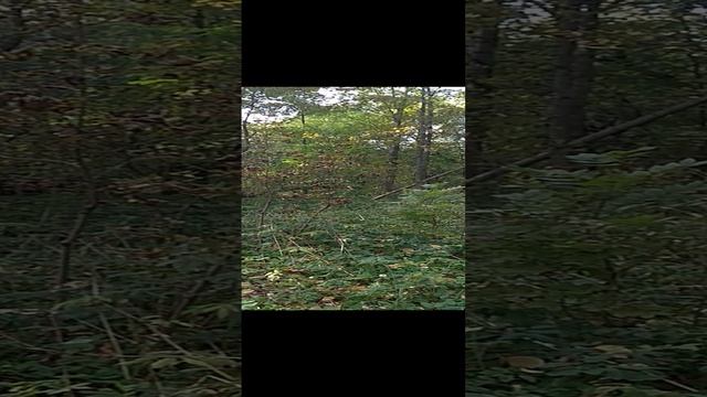 VID_20210922_165320