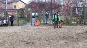 5.  выражено/перв АГНЕТА БЕРКАНА ТЭЙВАЗ (Даймонд Элан – Мирабелла Со Снежных Гор)