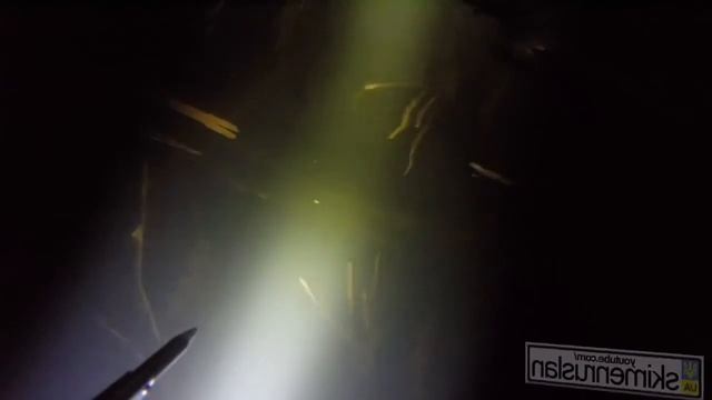 Подводная охота смотреть онлайн