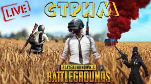 PUBG BATTLEGROUNDS С ДОЧКОЙ