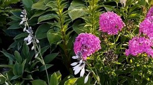 Лето на ВДНХ