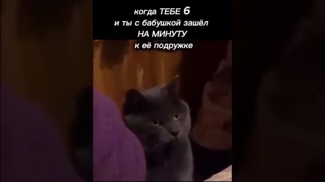 Зашел на минутку