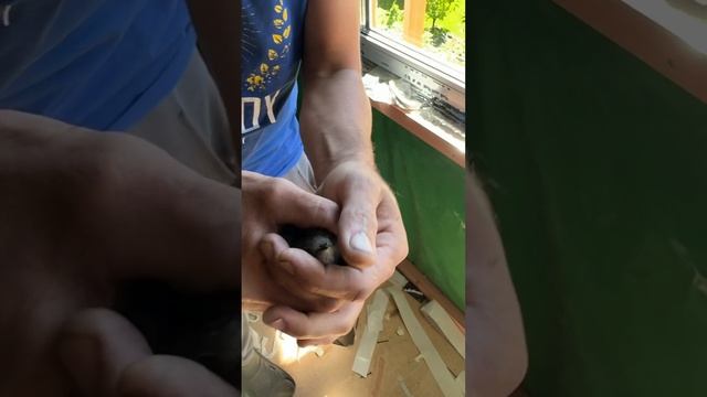 строительство