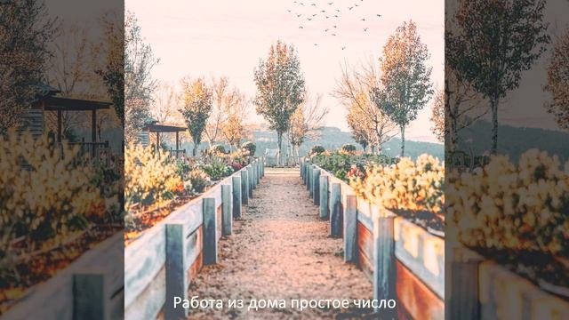 Пузырчатый