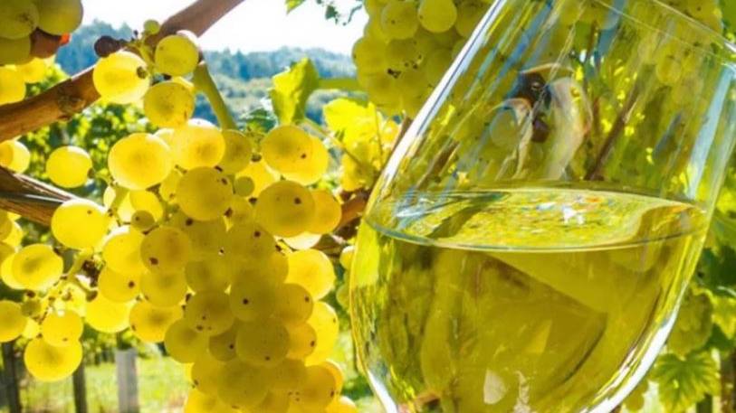 🎉 БЕЛОЕ ВИНО НА ПРАЗДНИК | РЕЦЕПТ ДЛЯ ВСЕЙ СЕМЬИ/ ДОМАШНЕЕ ВИНО ИЗ КОНЦЕНТРАТА/(18+)