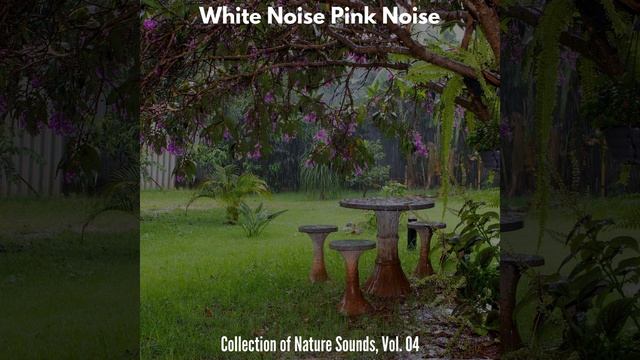 Tropical Winds and Heavy Rain смотреть онлайн