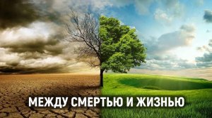 Артур Овод - Между смертью и жизнью