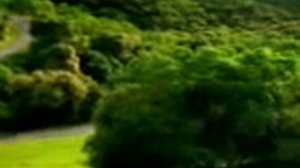 Психоделика