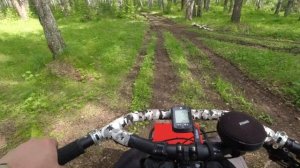 Shulz Lone Ranger, как собрать дешево-богато и зачем я изменил геометрию?