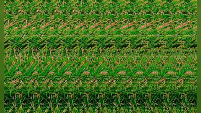 Beautiful stereo images. Красивые стереокартинки разной сложности для тренировки зрения.