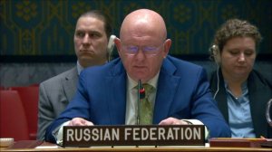 Statement by Permanent Representative Vassily Nebenzia at UNSC Briefing on Sudan